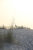 resIMG_20140616_184248_2398.JPG